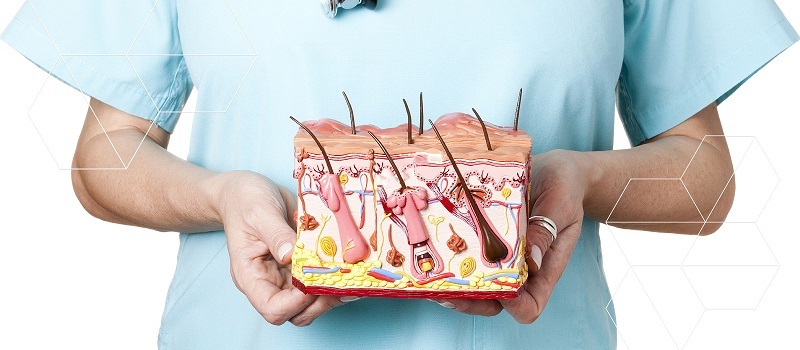 дерматолог в зеленограде